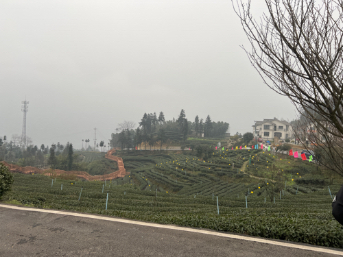 高县落印山文化广场旅行图片 1
